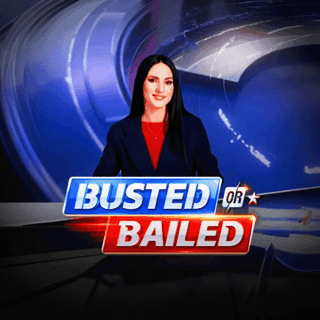 Busted or Bailed game cover